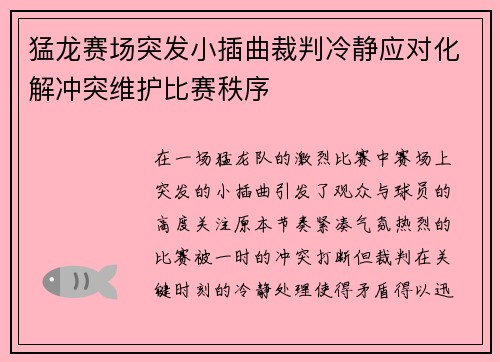 猛龙赛场突发小插曲裁判冷静应对化解冲突维护比赛秩序 猛龙赛场突发小插曲裁判冷静应对化解冲突维护比赛秩序